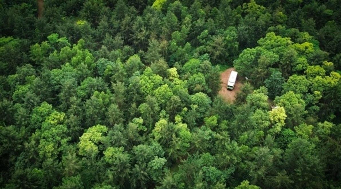 Bukan Sekadar Kewajiban Hukum, Harita Nickel Transformasikan Reklamasi Jadi Komitmen Pemulihan Ekosistem