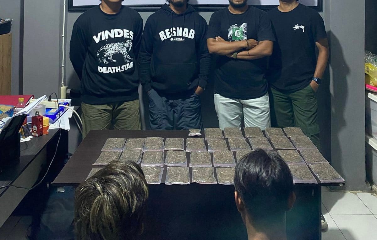 Dua Pemuda Diringkus Polres Ternate Gegara Ganja Kering
