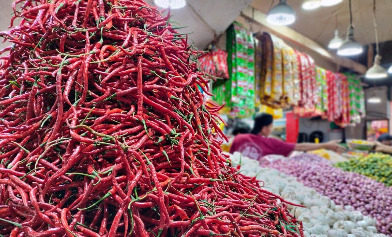 Harga Cabai di Kota Ternate Merangkak Naik