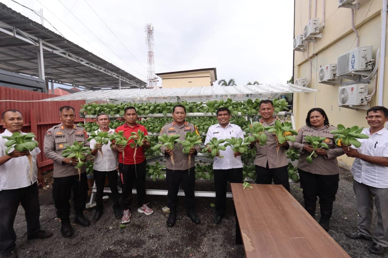 Sayuran Hidroponik Polres Ternate Dipanen