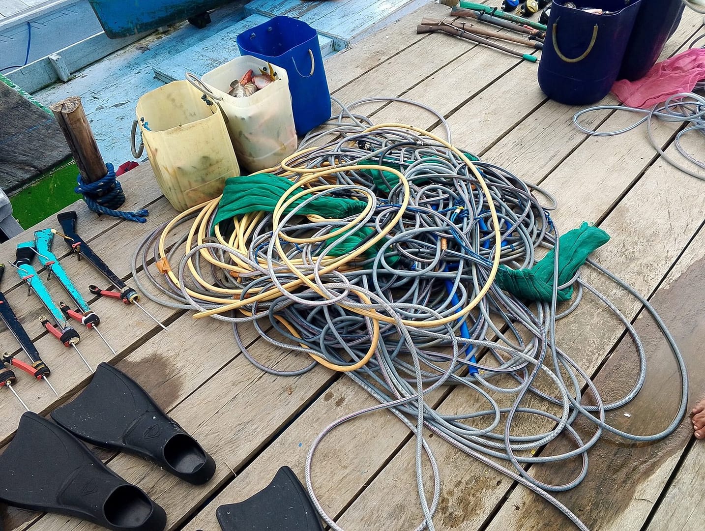 C1DCD833-93A8-473F-AC99-0B008095E33A