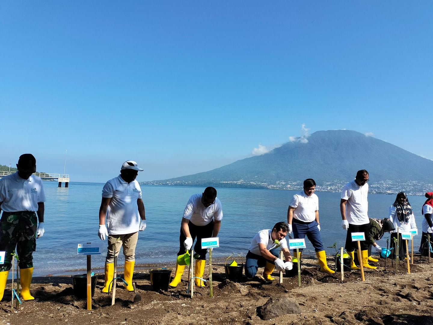 Memperingati Hari Mangrove Sedunia, PLTU Tidore Bersama Stakeholder Tanam 200 Pohon Mangrove