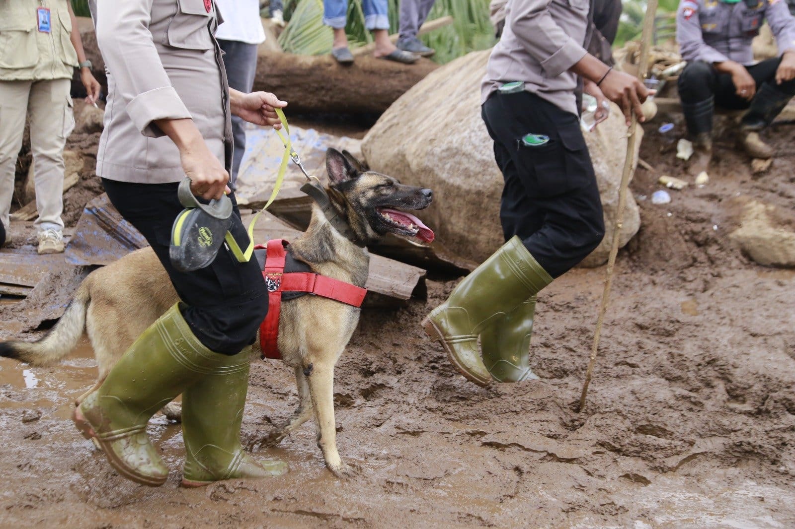 Deteksi Korban Banjir di Rua, Polda Maluku Utara Terjunkan Anjing Pelacak