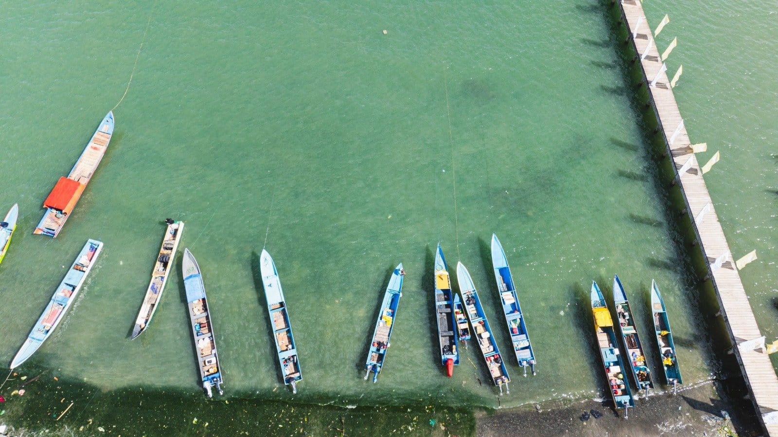 Kenali Destinasi Wisata Obi Lewat Turnamen Mancing
