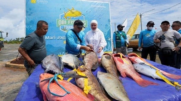 Obi Fishing Tournament 2025: Tangkapan Ikan Melimpah, Produktivitas Perairan Kawasi Terjaga