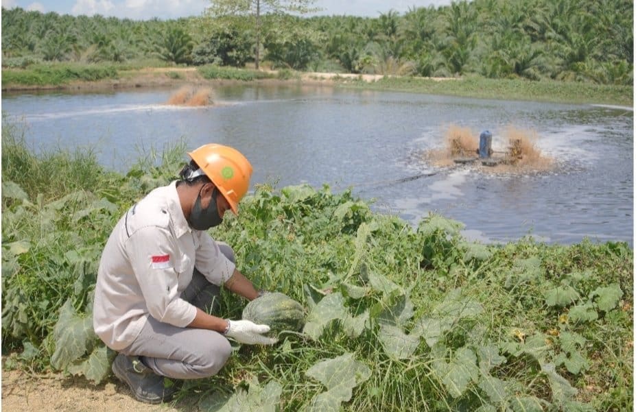 Menuju Net Zero Emission, Perusahaan di Halsel Olah Limbah Jadi Pupuk